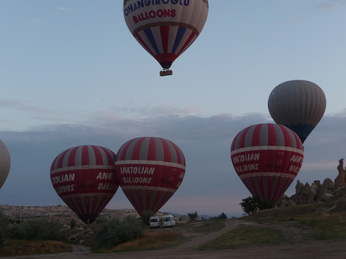 P1040482.JPG 3456x2592 index 238